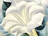 White Flower by Georgia O'Keeffe